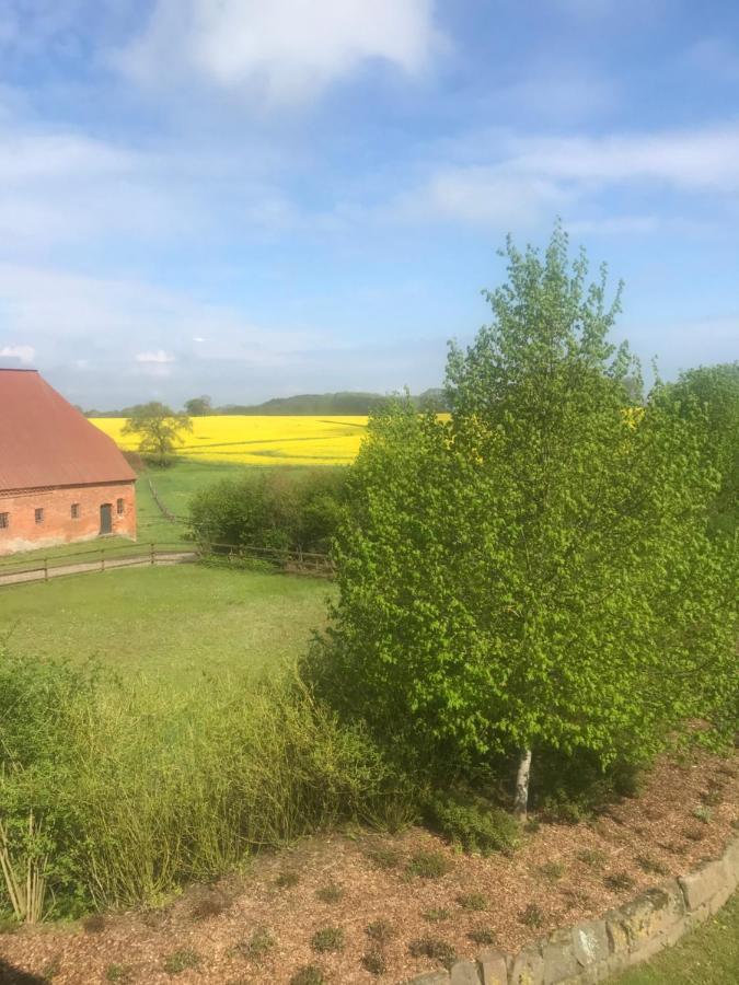Schmuckstueck In Ostseenaehe Surendorf Exterior photo